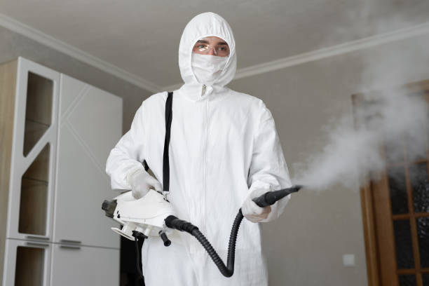 Trusted Twinsburg Heights, OH Mold Removal & Remediation Experts